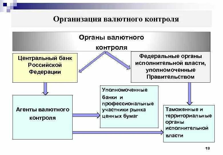 Валютный контроль схема. Таможенные органы агенты валютного контроля. Система валютного контроля в РФ. Органы валютного контроля схема.