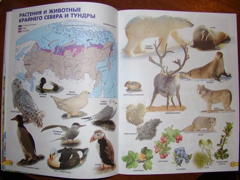 Атлас 3 класса. Атлас природоведение 3-4 классы. атлас 3 класс.