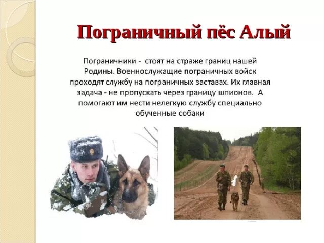 Рассказы о пограничниках. Пограничник презентация. дошкольникам о пограничниках.