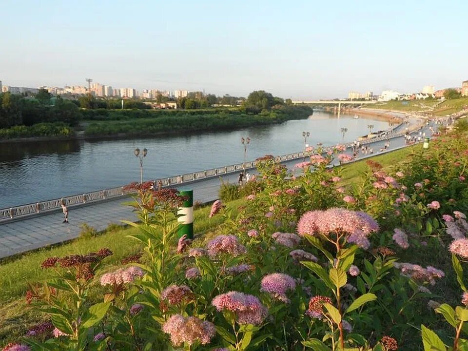 Климат в Тюмени летом. Климат в городе Тюмень. Летняя Тюмень. Тюмень фото. Лето в тюмени будет