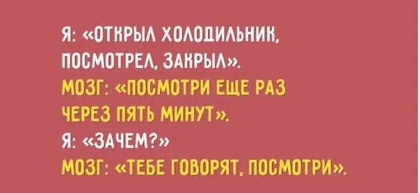 Анекдоты про мозг. Анекдоты про мозг. Шутки про мозги. Шутки про мозг. Цитаты про мозги смешные.