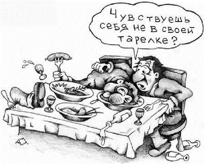 Фразеологизм не в своей тарелке. Веселое застолье карикатуры. Мордой в салат карикатура. Не в своей тарелке карикатура. Карикатура Бордой в салат