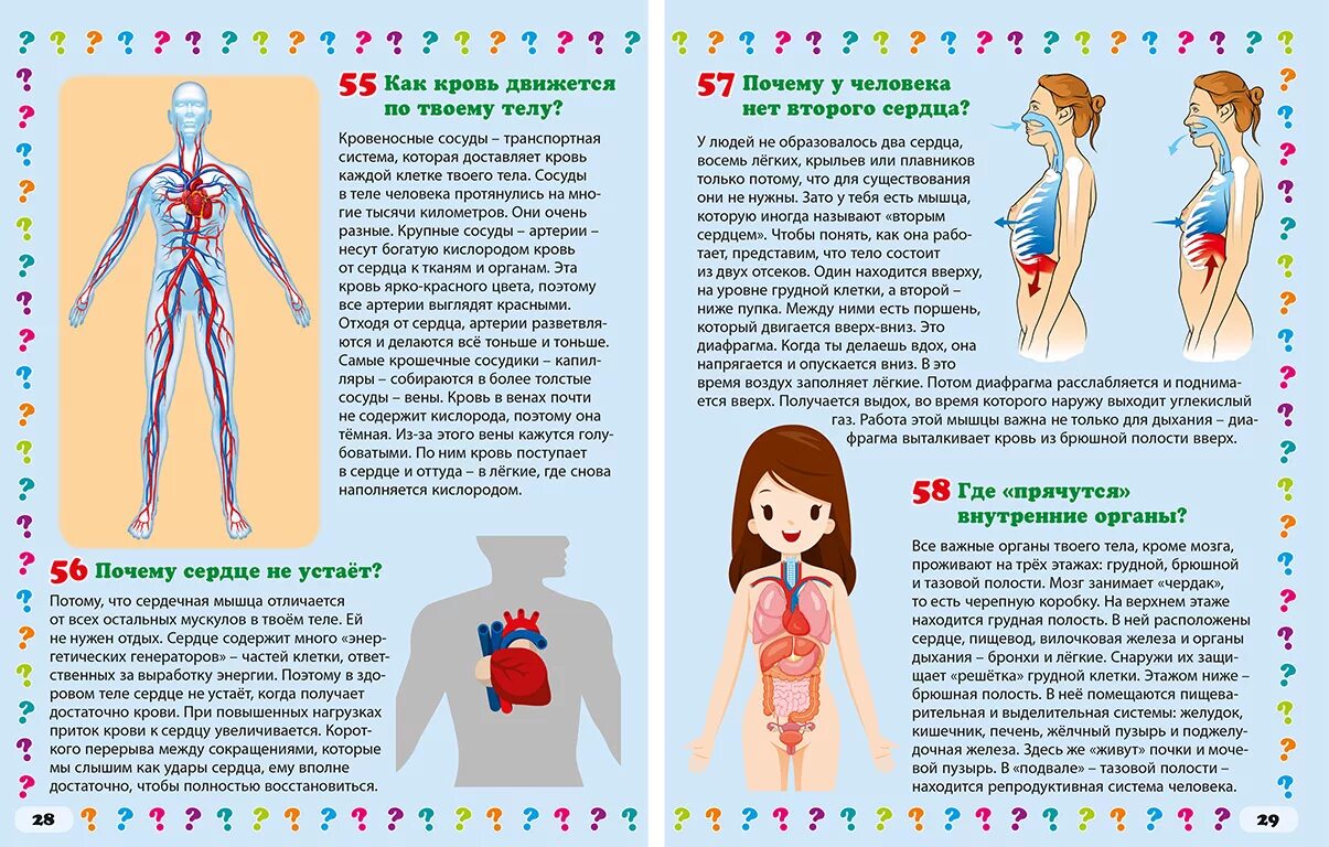 Почему сердце работает всю жизнь. Причины неутомляемости сердца. Почему сердце не утомляется. Цитаты про усталость души со смыслом. Причина неутомляемости сердечной мышцы состоит в.