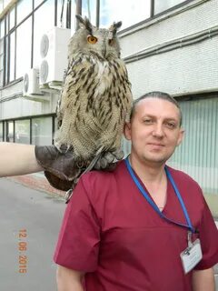 В гостях филина