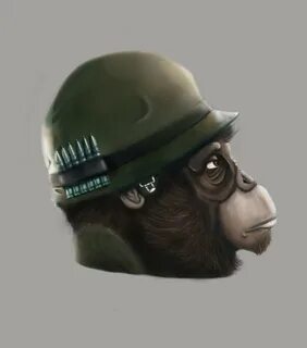 Обезьяна д