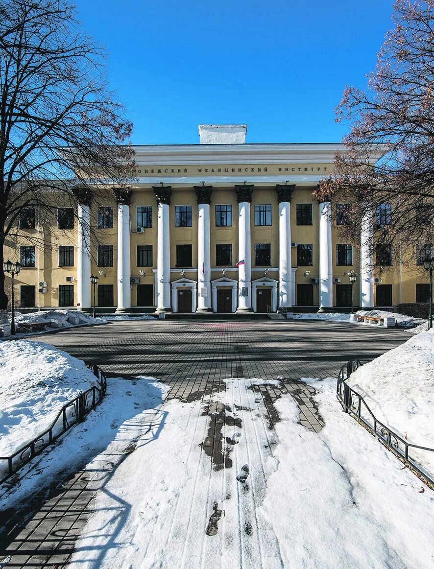 Сайт вгму воронеж. Воронежский государственный медицинский университет им н.н Бурденко. Воронежский университет имени Бурденко. Академия Бурденко Воронеж. Сайт ВГМУ им н.н.Бурденко Воронеж.