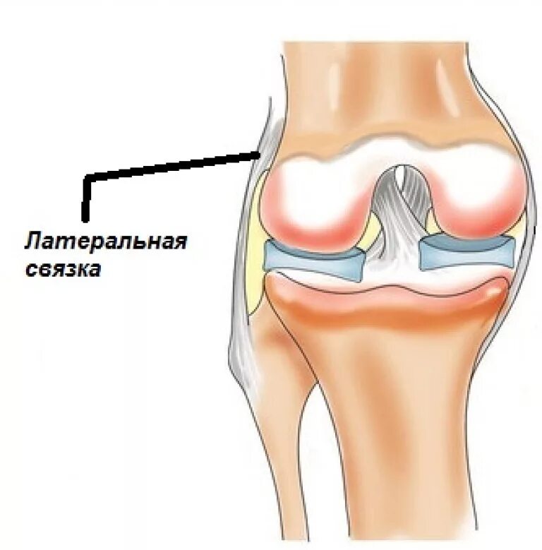 Наружная боковая связка коленного сустава. Коллатеральная связка коленного сустава. Наружная боковая связка левого коленного сустава. Медиальная латеральная связка коленного сустава. Внутри коленный сустав