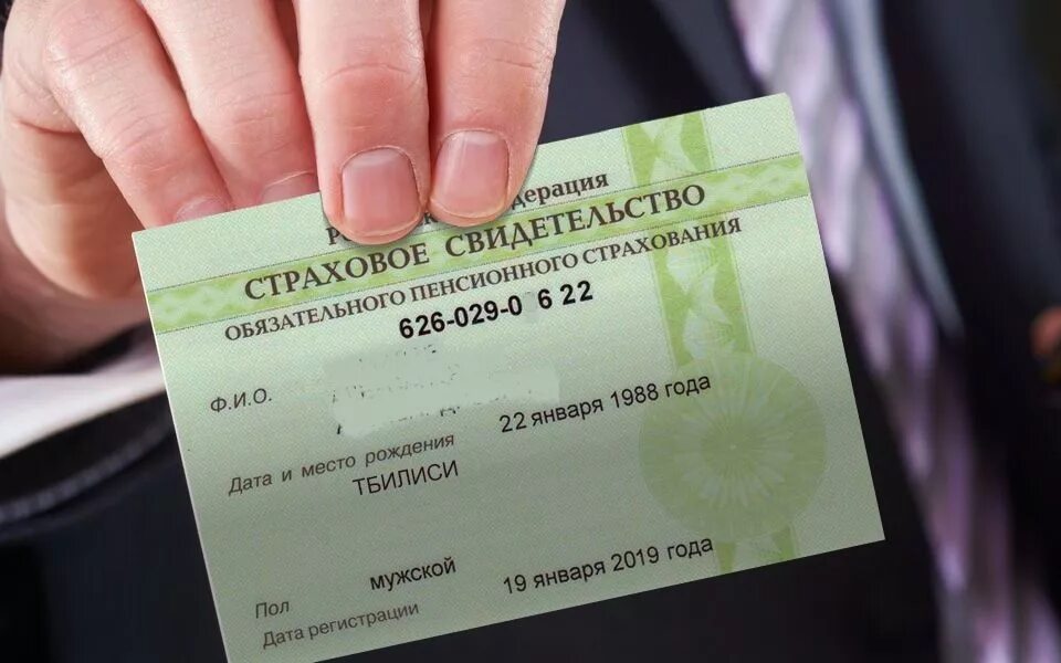 Найти снилс по фио. Как получить снилс. снилс новый подпись. снилс карточка. номер снилса.