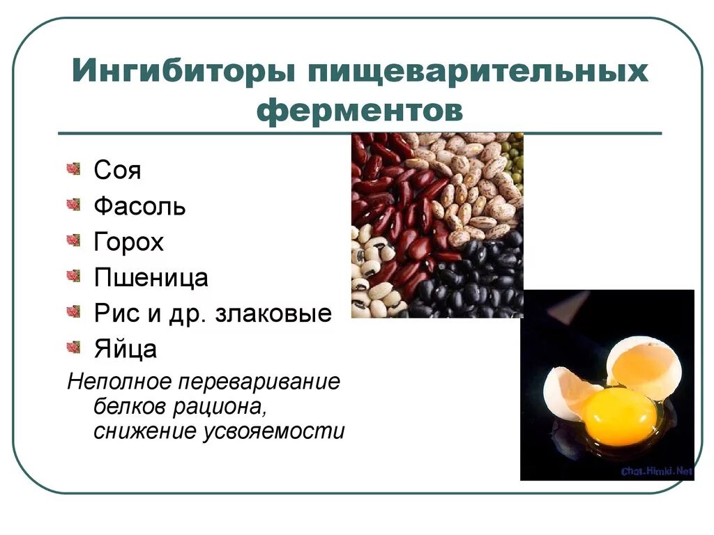 Пищеварительные ферменты продукты