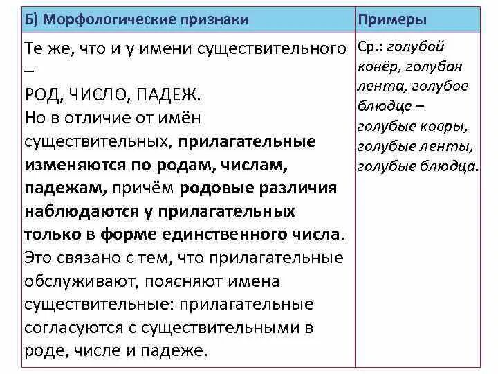 Род это морфологический признак имени существительного. В отличие от существительных прилагательные изменяются по. Морфологический признаки имя существительное прилагательное. Морфологические признаки имени прилагательного голубое яичко.