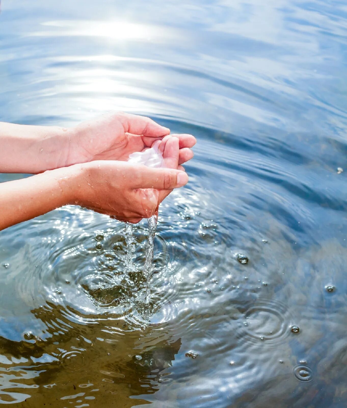 Рис держит воду. Вода в ладонях. Вода в ладошках. Пригоршня воды. Руки горсть вода.