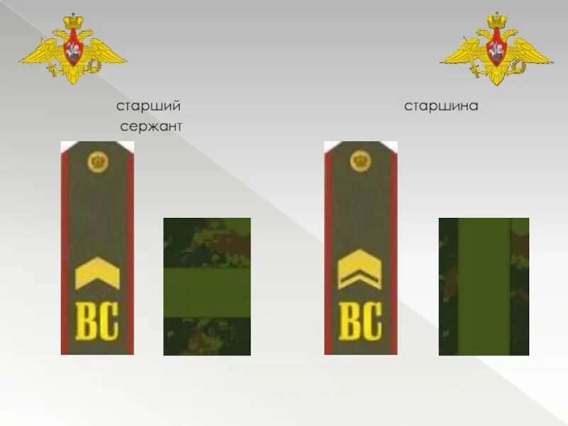 Воинские погоны вс рф. Погоны старшины Российской армии. Погоны Российской армии 2021. Погоны старшего сержанта Российской армии. Погоны Российской армии 2022.