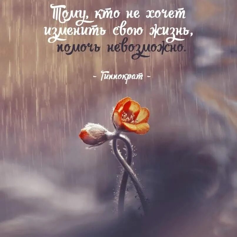Цитаты про жизнь со смыслом. Красивые цитаты. Красивые изречения о жизни. Красивые высказывания о жизни. Красивые фразы.