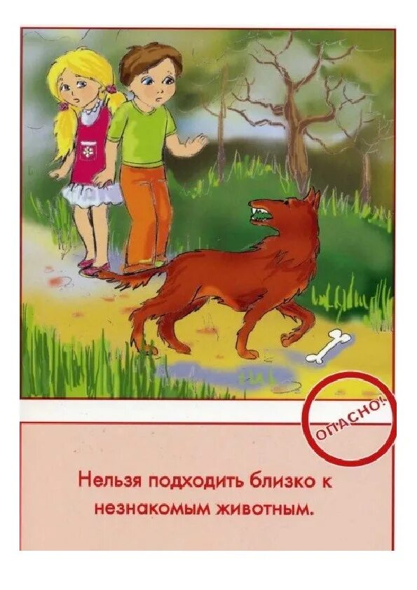 Безопасное проведение на природе. Безопасное поведение на природе. Нельзя подходить к незнакомым животным. Безопасность на природе для детей в картинках. Безопасность ребенка на природе