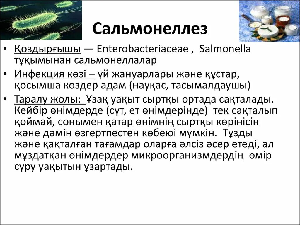 Сальмонеллез строение возбудителя. Сальмонеллез возбудитель инфекции. Сальмонеллез инфекционные болезни кратко. Сальмонеллез б