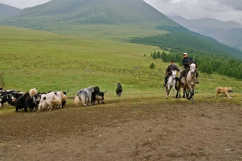 Аянгаты тыва. Село кызыл-хая республика тыва. Погода праздничные дни. Монгун-тайга село кызыл-хая. Прогноз тывы.