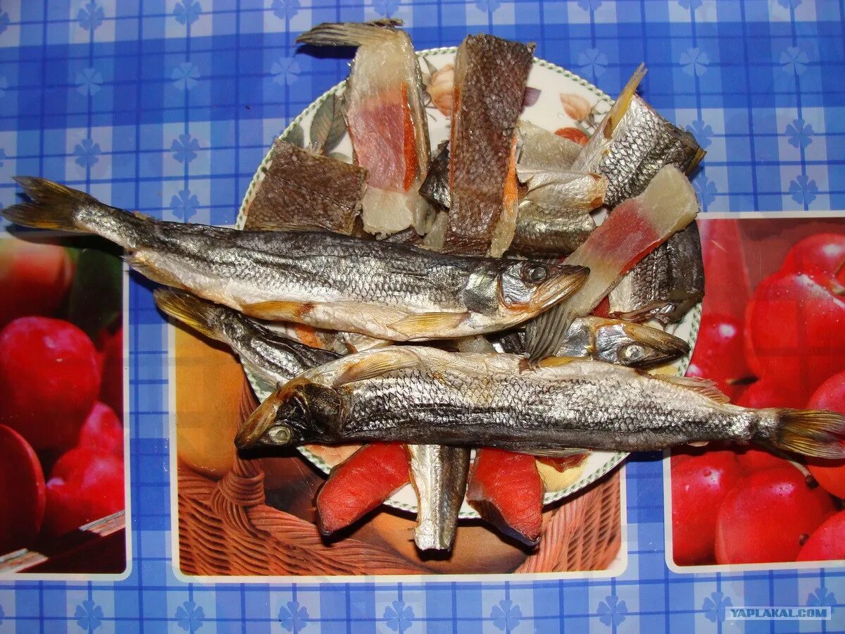 Как чистить вяленую. Вяленая рыба с икрой. как чистить сушеную рыбу. как есть воблу вяленую. какие есть сушеные рыба.