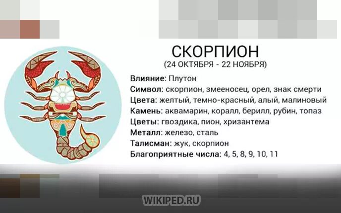 Знак зодиака Скорпион. Скорпион знак зодиака описание. Скорпион характеристика знака. Скорпион гороскоп символ. 23.11 1986