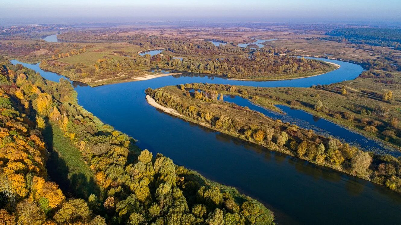 Гомель река Днепр. Река СОЖ В Беларуси. Беларусь Гомель река. Река Беседь Беларусь. Какие реки в белоруссии