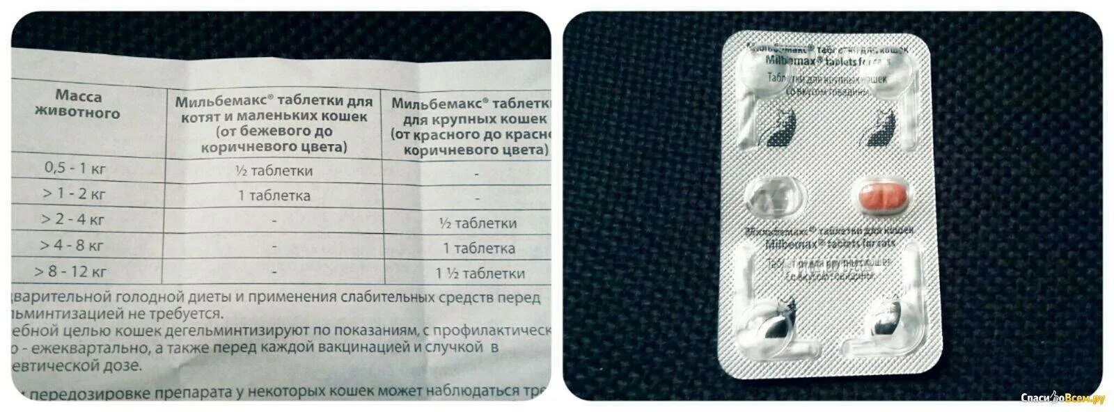 Мильбемакс для котят инструкция. Мильбемакс для кошек дозировка. мильбемакс для котят дозировка. мильбемакс доза для кошек.