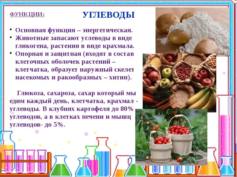 Содержание жиров в клетках семян растений