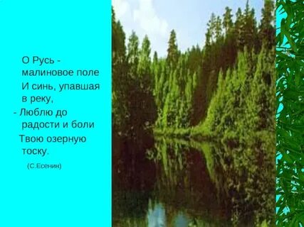 Алые реки текст