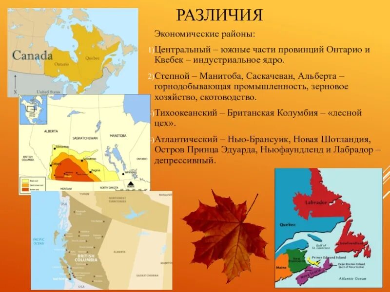 Черты различия сша и канады. Канада презентация по географии 11 класс. Канада география 11 класс. Внутренние различия Канады. Внутренние различия США.