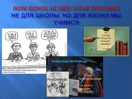 Non латинский