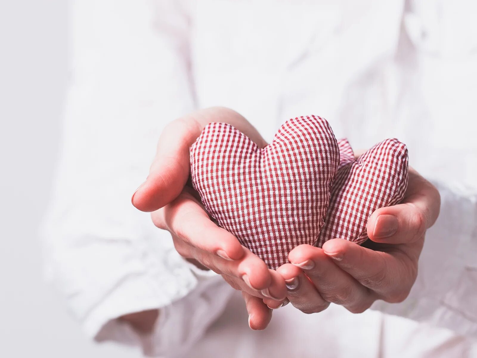 сердечко руками. сердце в руках влюбленных. сердечко руками. сердечко руками. любовь отношения брак.