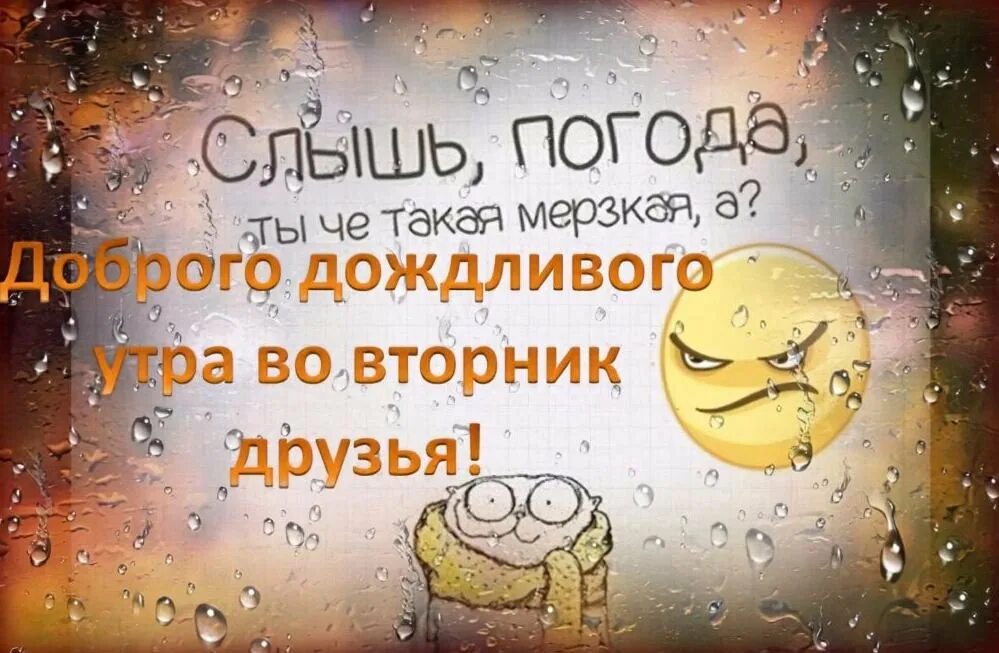 С добрым дождливым утром прикольные. Открытки с добрым дождливым утром. Открытки хорошего настроения в дождливую погоду. Открытки хорошего настроения в плохую погоду.