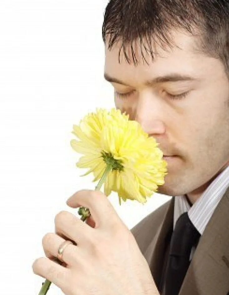 Нюхает цветы. Человек нюхает. Мужчина нюхает цветы. Нюхает цветочек. Он подумал понюхал пахнет