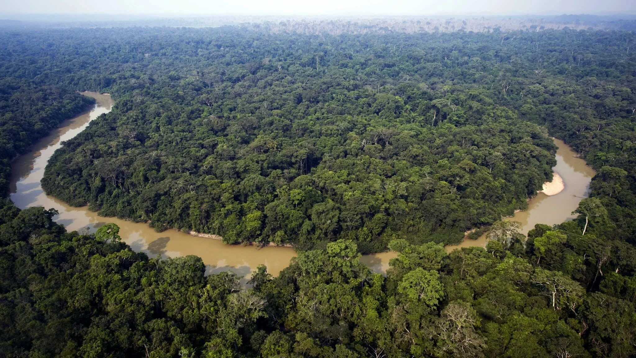 Гвианская амазония национальный парк. Обезлесение амазонка. Обезлесение бразилии. Бразилия леса амазонии. Обезлесение бразилии.