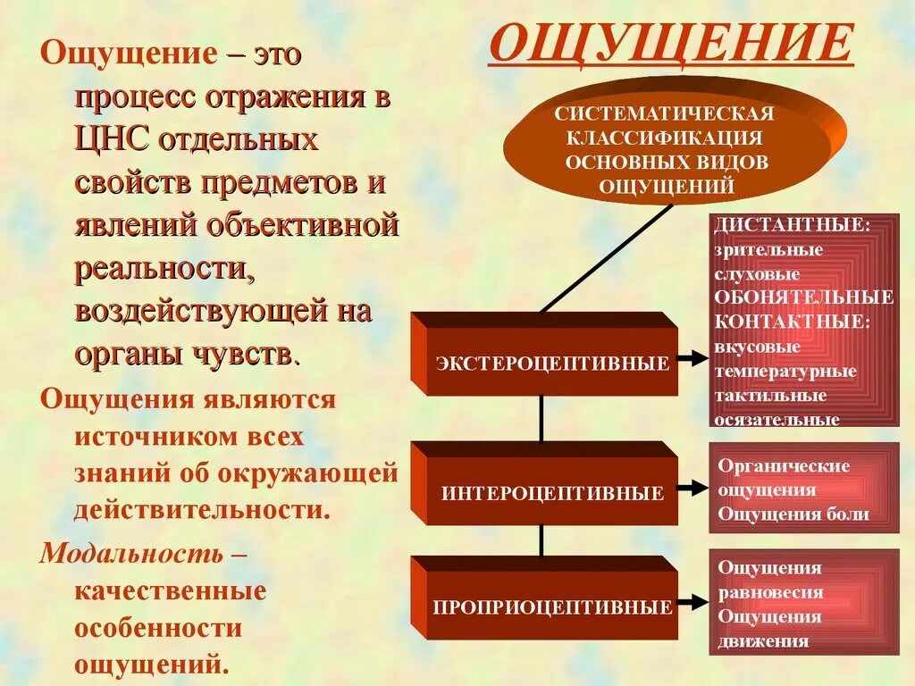 Ощущение это в психологии. Ощущение это в психологии кратко. Виды процесса ощущения. Понятие и виды ощущений.