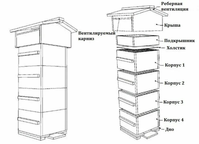 Улей самого простого устройства представляющий собой. Улей варре чертежи. улей варрэ чертеж. улей аббата варрэ чертеж. японский улей чертежи для изготовления.