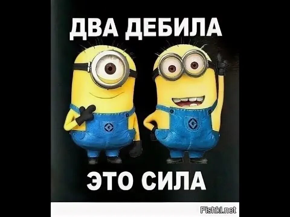Два придурка это сила. Если два дебила это сила значит один. Два дебила это сила фото. Два дебила. Два дебила это сила.