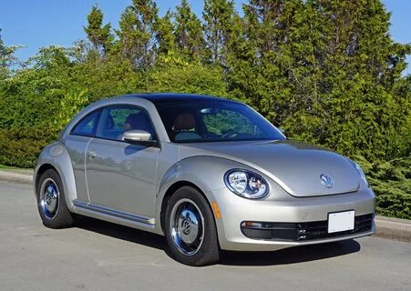 New beetle