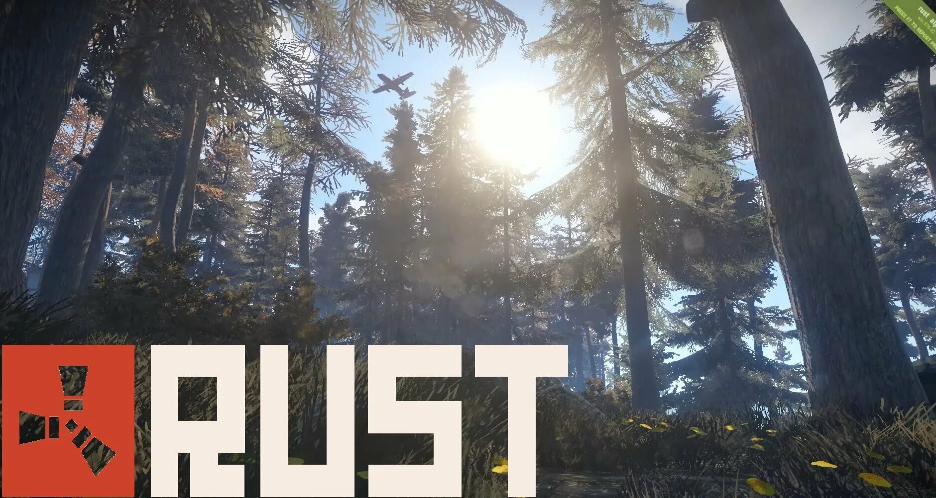 Ti rust