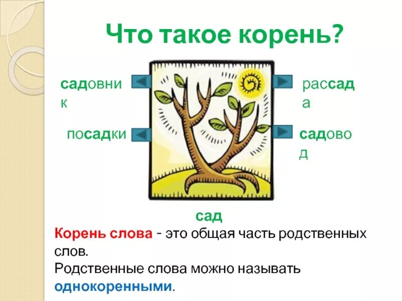 Другое значение слова сад. Схема родственных слов 2 класс. Однокоренные слова. Корень в родственных словах. Однокоренные слова схема.