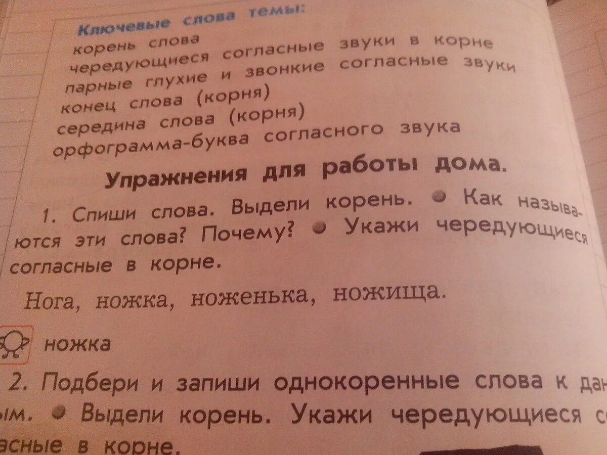 Нога однокоренное слово ножка. Ножка однокоренные слова. Нож ножик ножище однокоренные. Однокоренные слова нога ножной ножка ноженьки. Подобрать слова к ногам