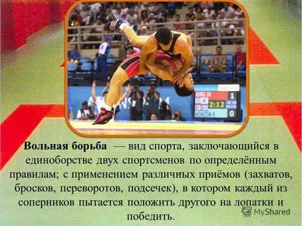 Спортивная борьба дисциплина вольная борьба