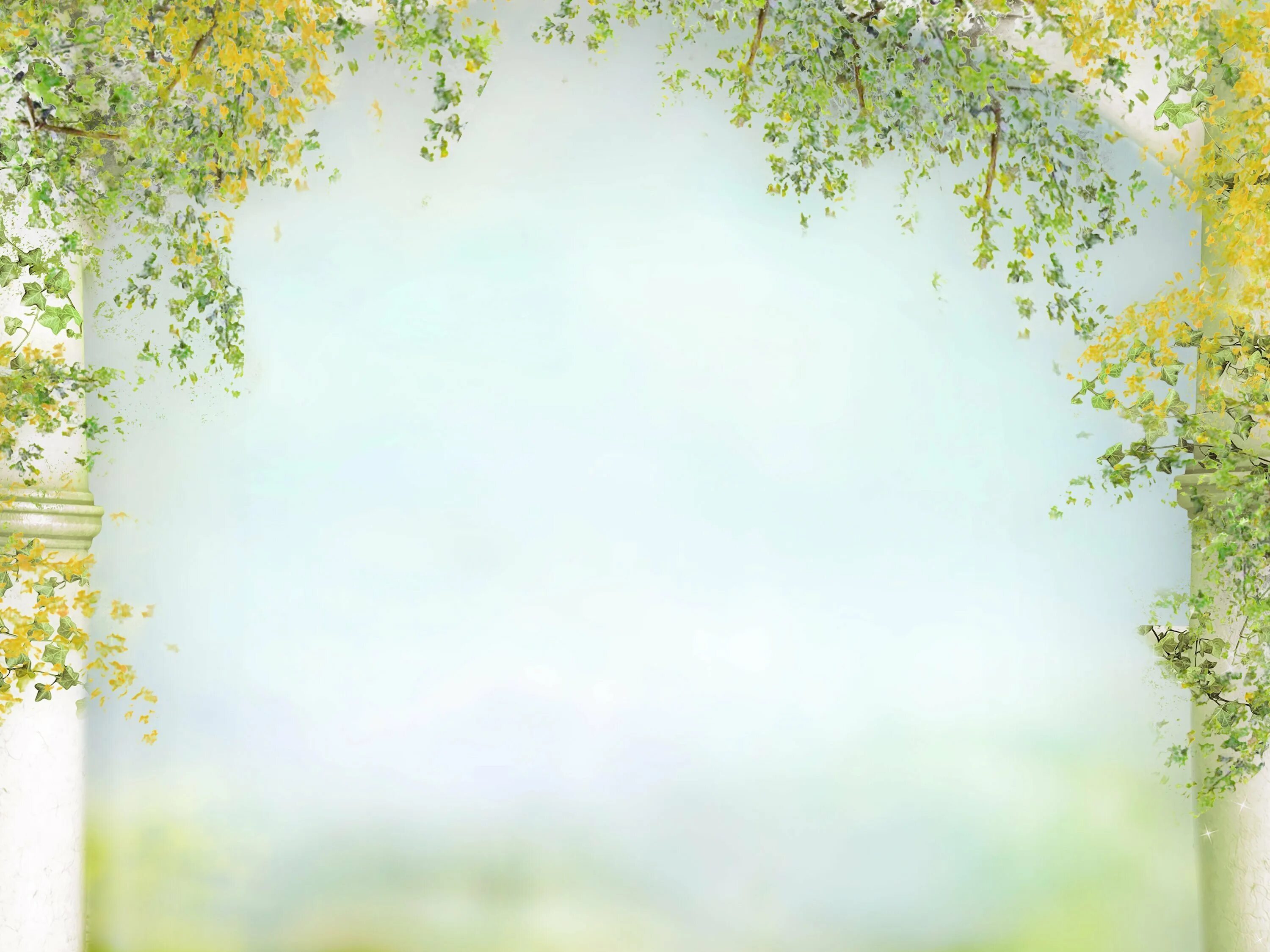 Краеведческий лист. Краеведческий лист. Краеведческий лист. Краеведческий листок барнаула. Старинный фотоальбом.