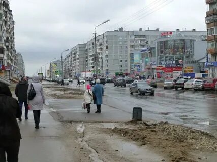 Наседкин череповец