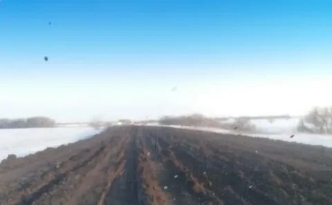 Погода сузаново