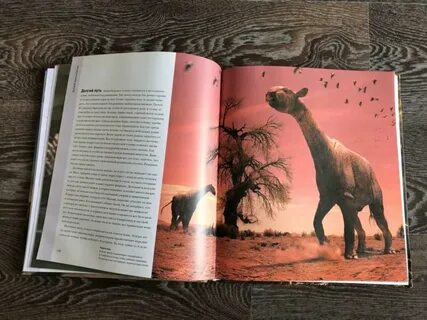 Прекрасное чудовище книга