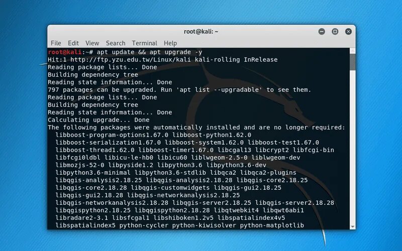 Кали программа. Терминал кали. kali linux. kali linux terminal. терминал на базе линукса.