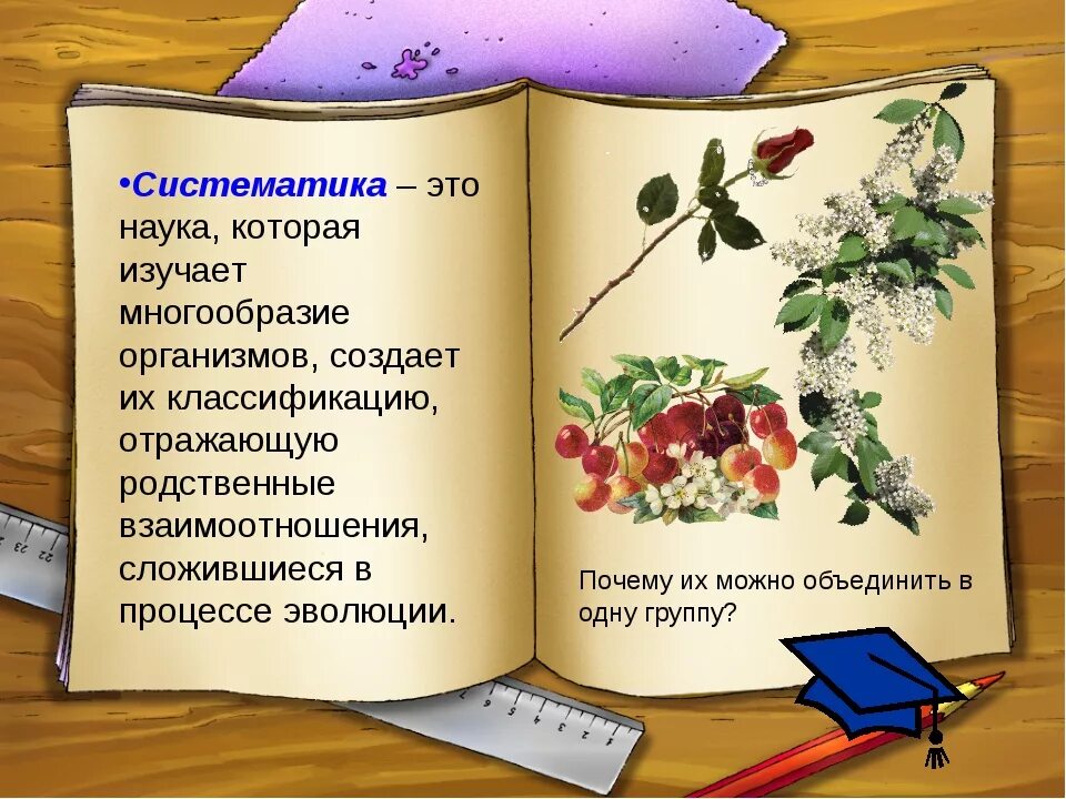 Систематика это. Систематика. что изучает наука систематика. чтотизучает наука стстематика. что изкчают наука систематика.