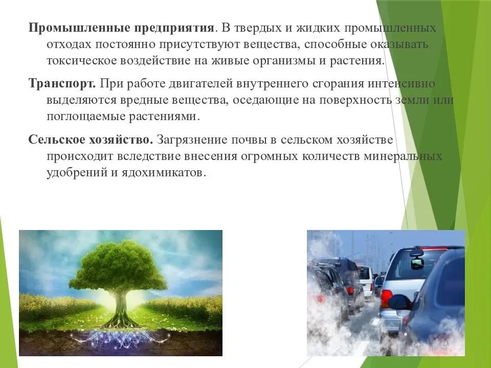 Влияние выбросов на окружающую среду. Воздействие загрязнений на окружающую среду. Влияние загрязнения окружающей среды на человека. Влияние загрязнителя окружающей среды на окружающую среду.