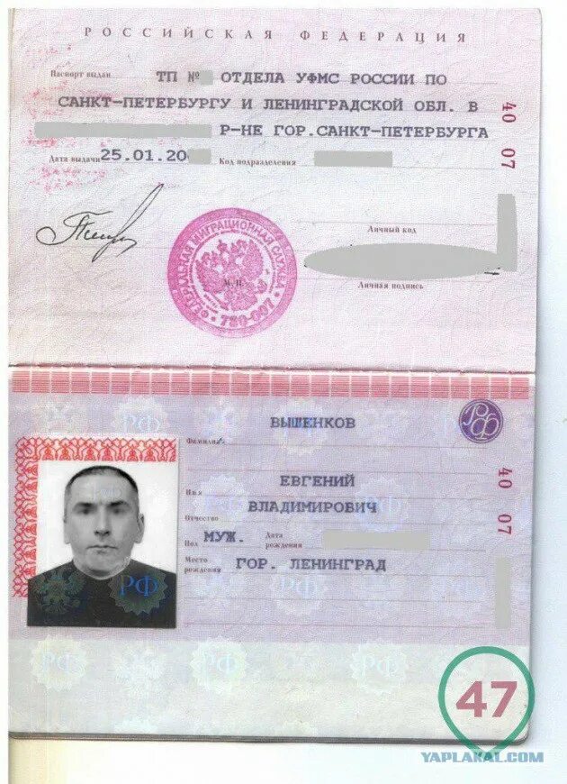 Ксерокопия паспорта рф. Скан паспорта. Сканы паспортных данных. Копия паспорта. Скан паспорта.