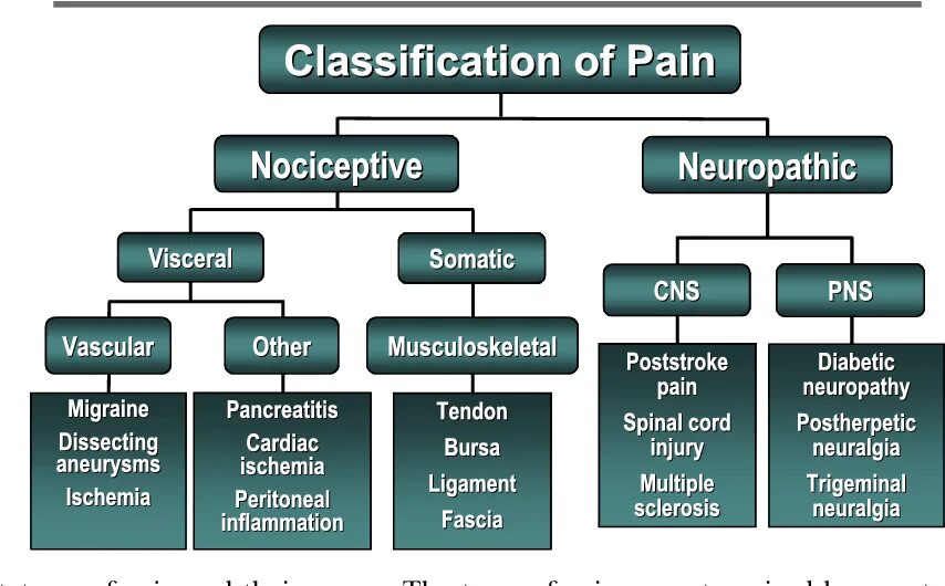 Classification of articles. Pain classification. neuropathic pain. classification of pain location duration intensity quality. neuropathic pain symptom inventory (npsi)..