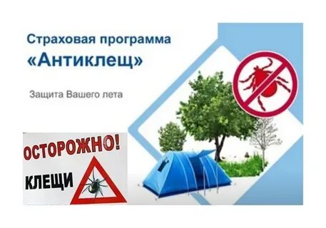 Согаз антиклещ страховка